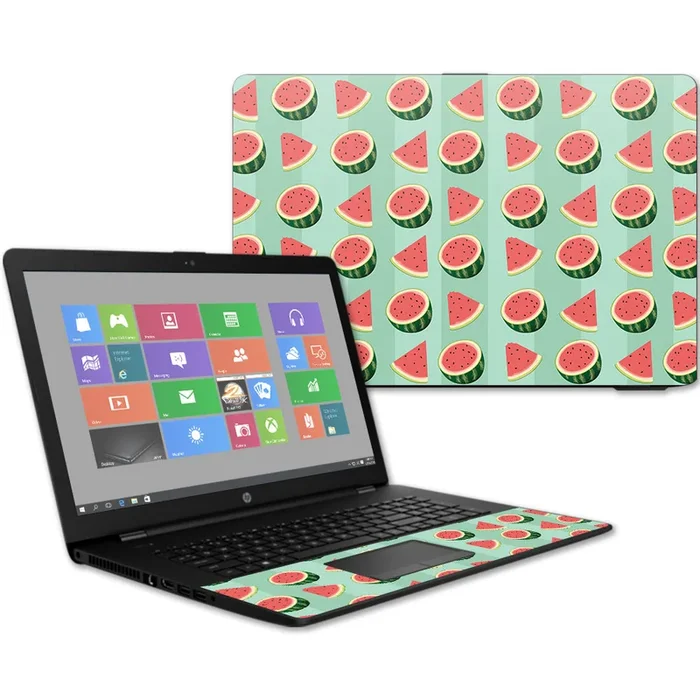 Watermelon Patch 17t Laptop 17.3″ (2017) Skin