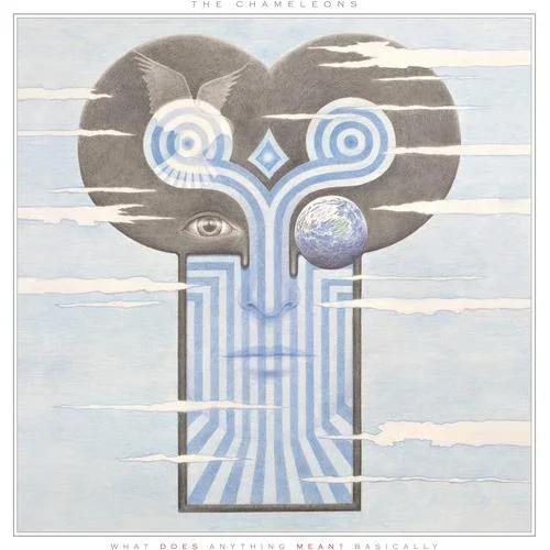 What Does Anything Mean? Basically – Vinyl LP