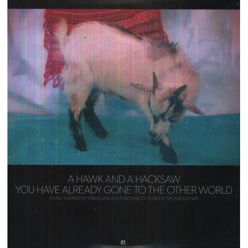 You Have Already Gone to the Other World – Vinyl LP