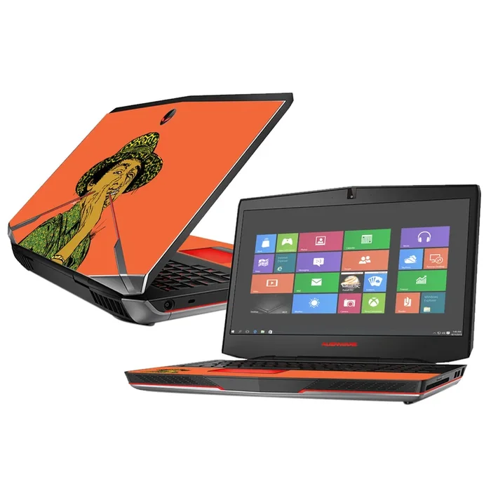 Young Barry 17″ (2015) Skin